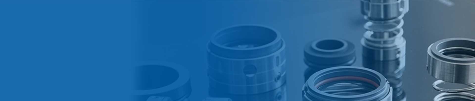 O Ring Mechanical Seals